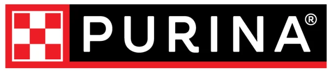 Партнер